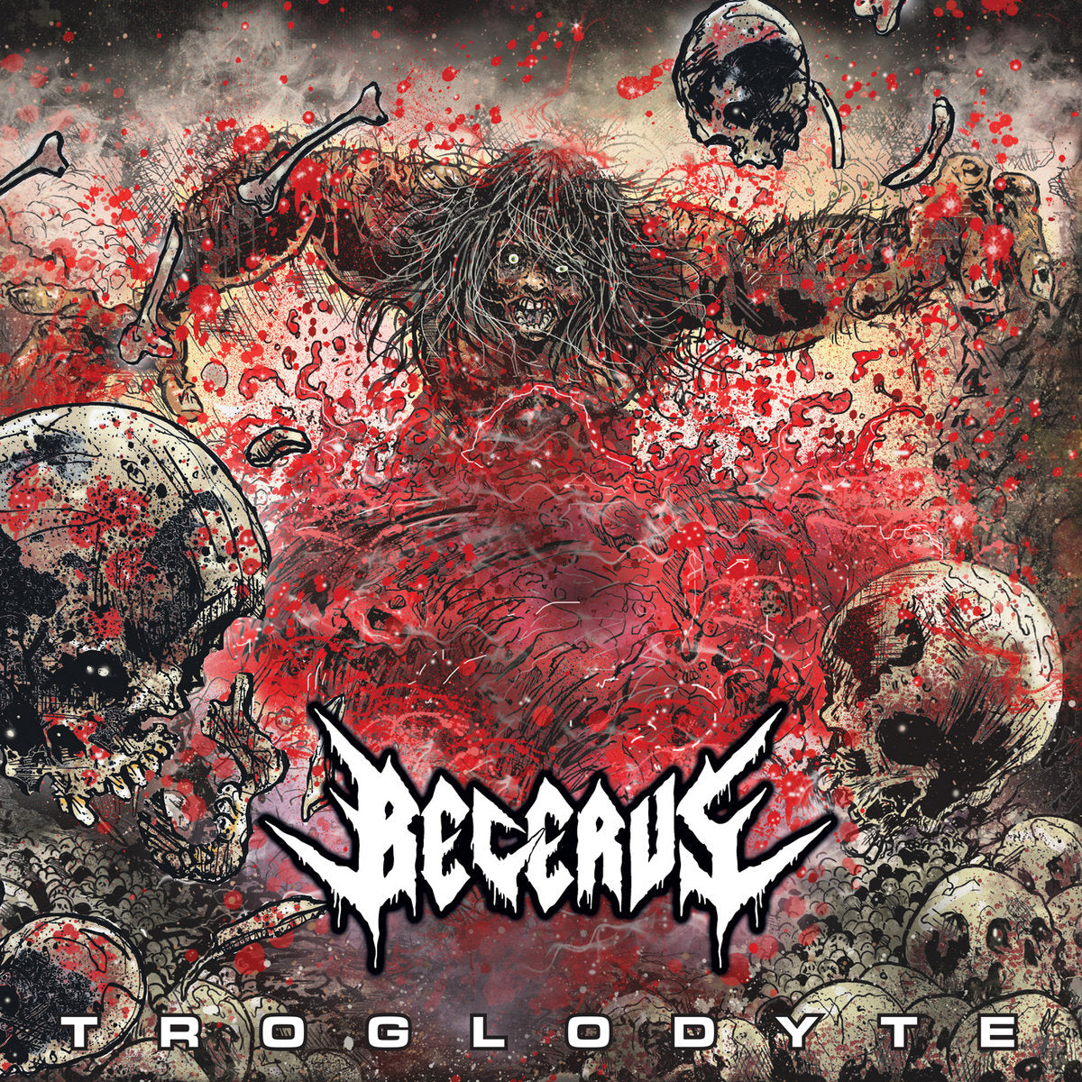 Becerus